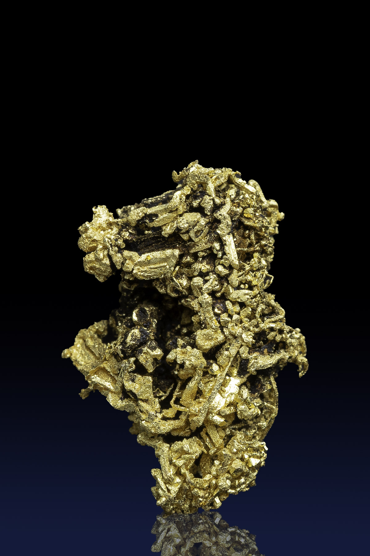 (image for) Exceptional Crystallized Gold Specimen - Farncomb Hill, CO