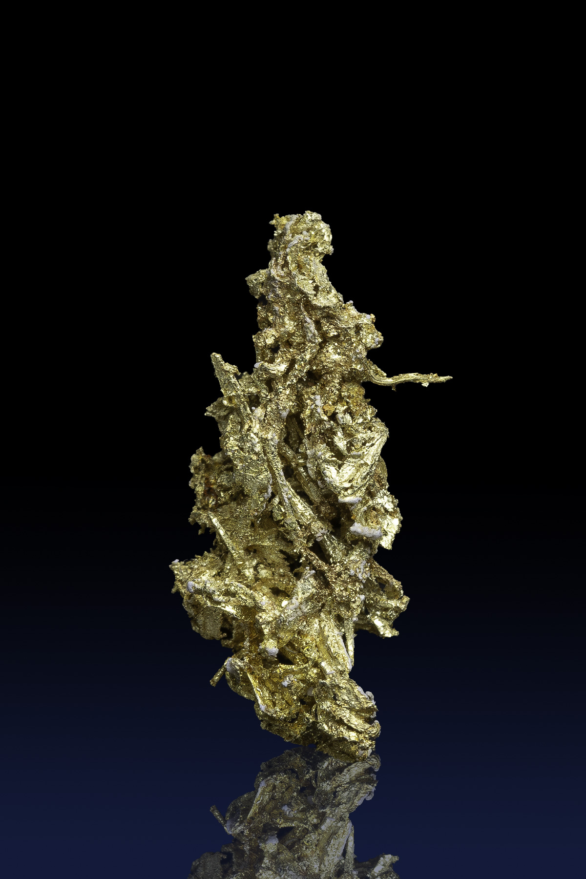 (image for) Outstanding Rare Crystallized Gold Nugget - Farncomb Hill, Colorado