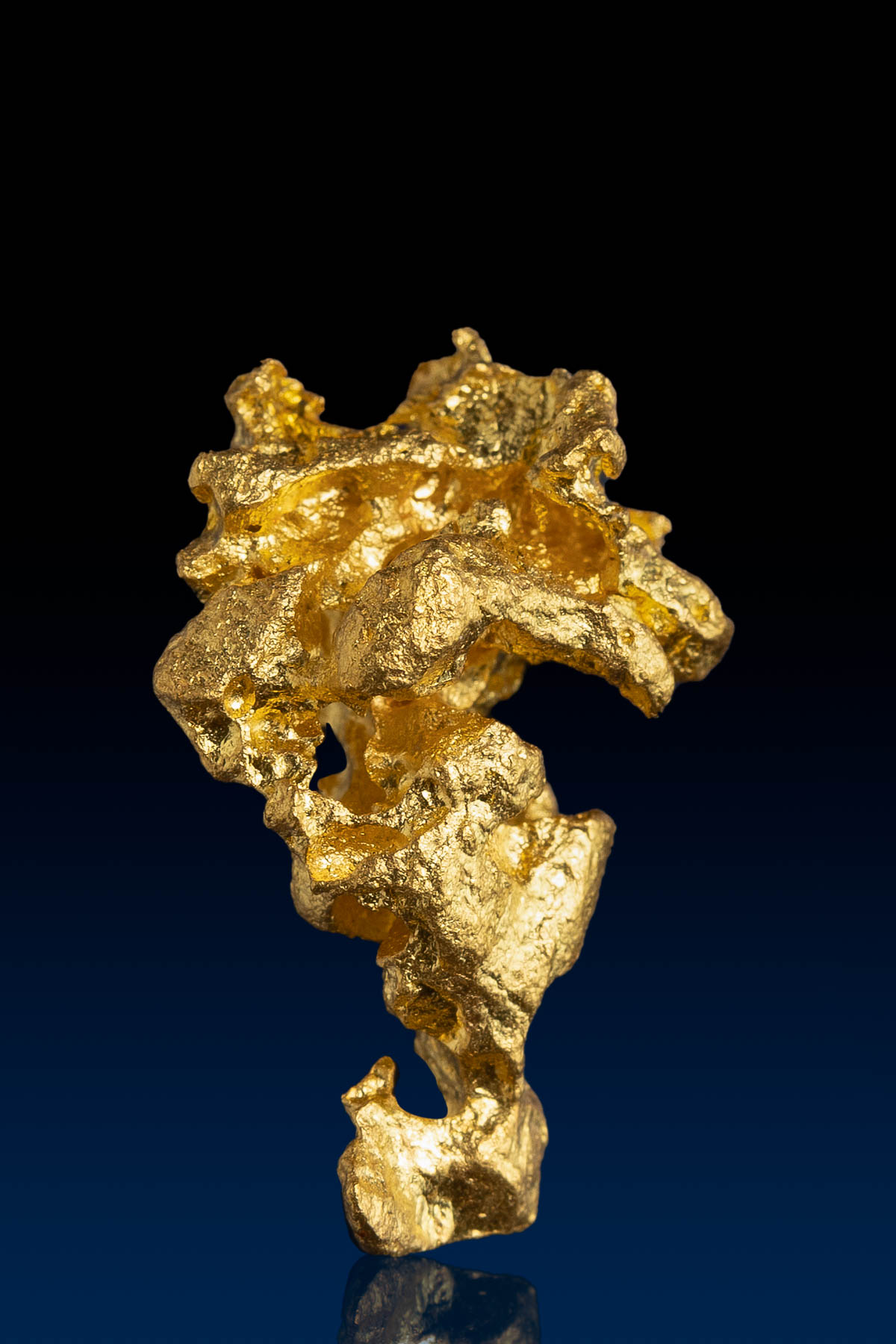 Sea Horse Australian Natural Gold Nugget - 4.94 grams