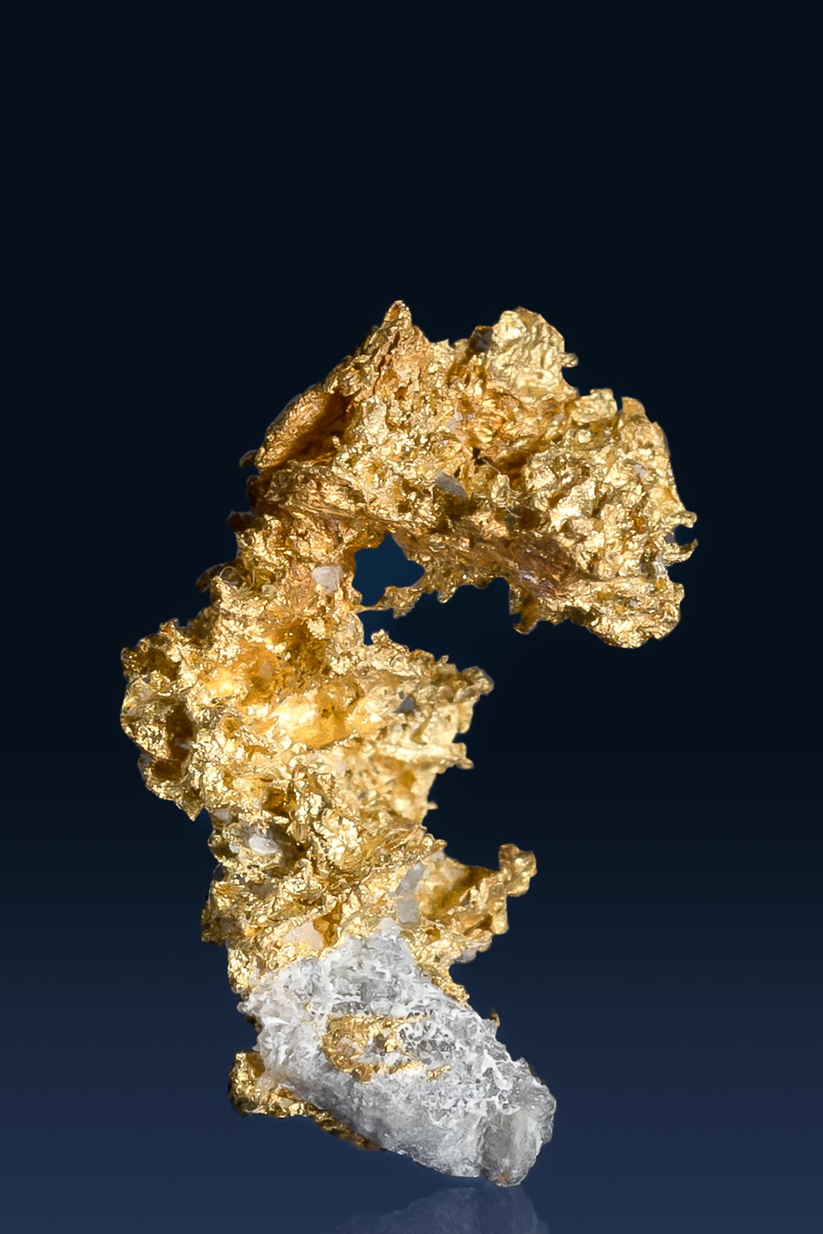 California Natural Gold Nugget Stands On Quartz - 1.45 grams
