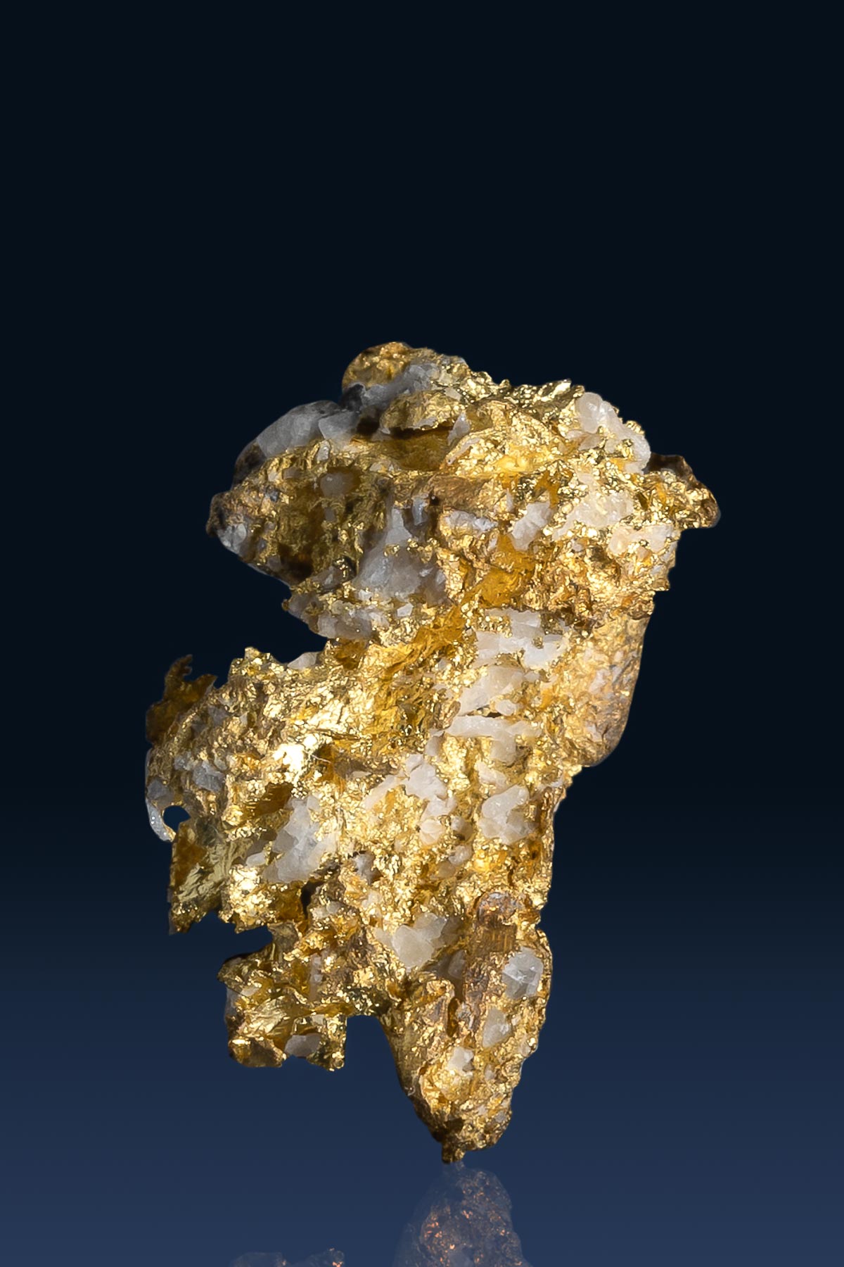 Standing Natural California Gold Nugget with Quartz - 2.52 grams