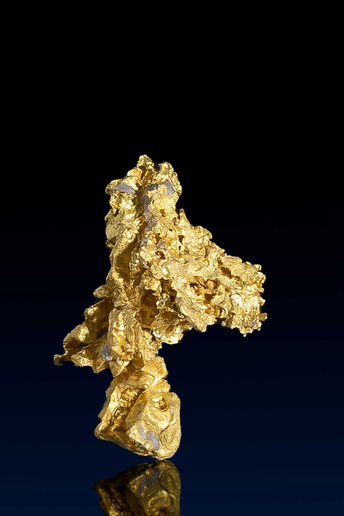 Rugged Nevada Natural Gold Nugget - 0.79 grams