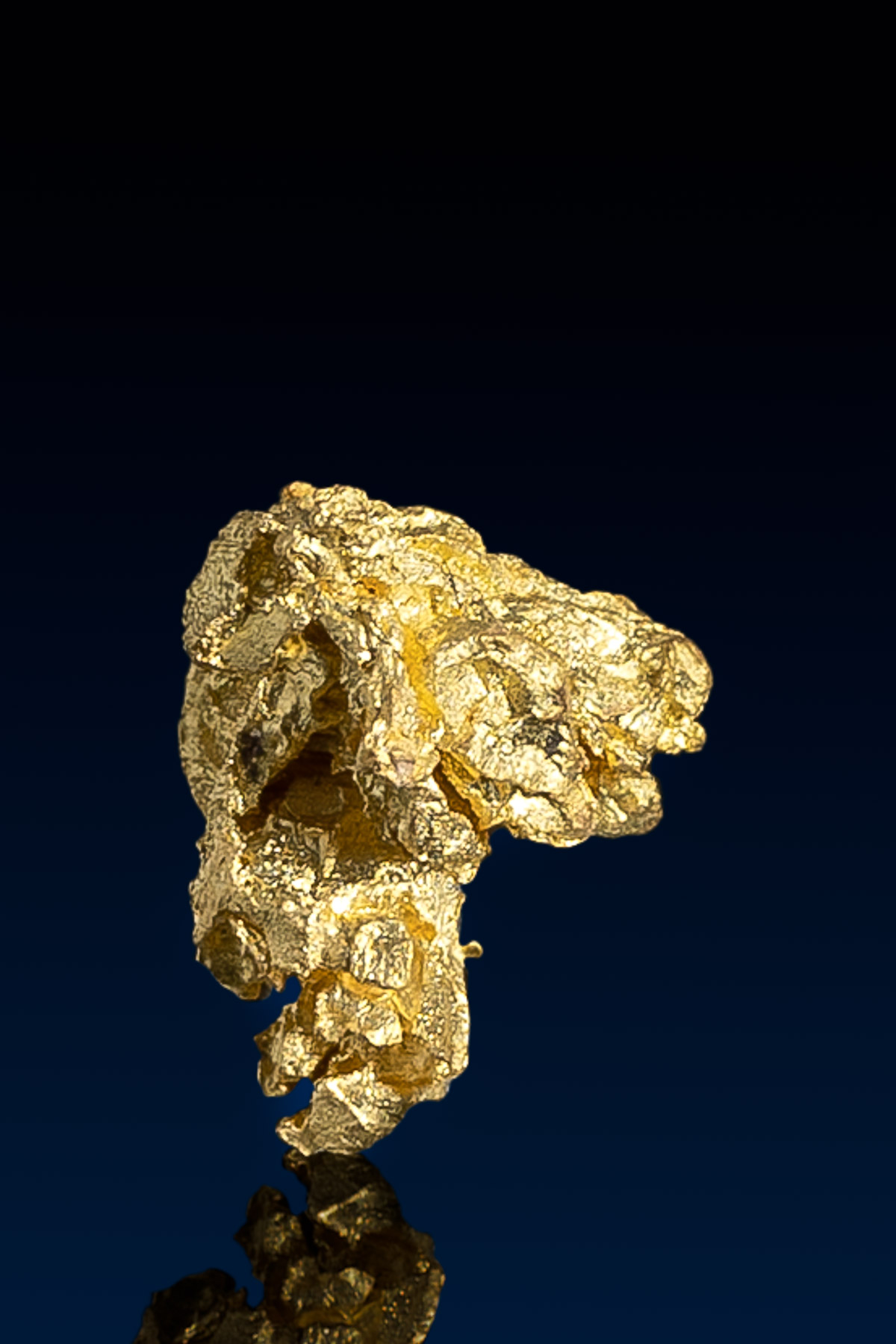 Dog-headed Natural Nevada Gold Nugget - 1.01 grams