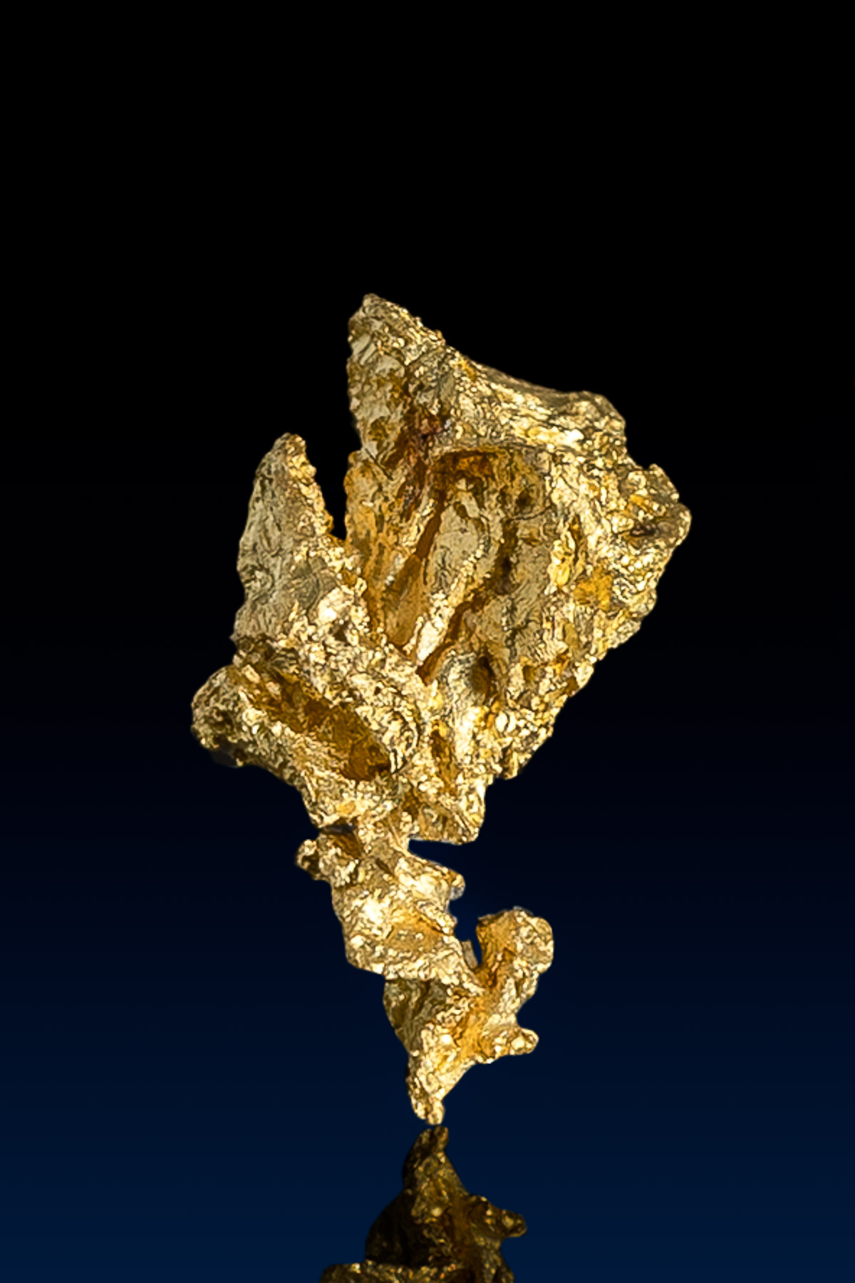 Long Pointed Nevada Natural Gold Nugget - 0.8 grams