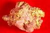 Australian Gold in Quartz - 14.6 Grams