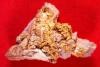 Aussie Gold in Quartz Specimen - 35.1 Grams