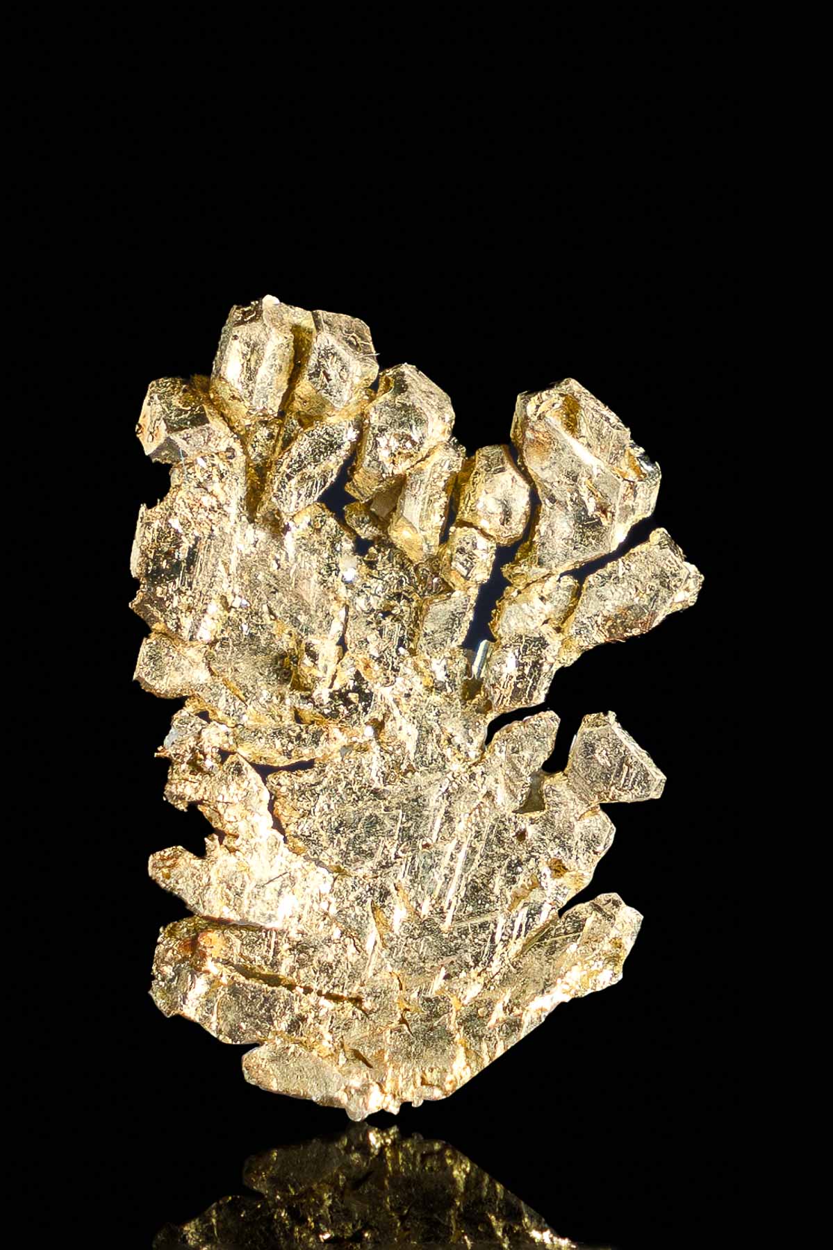 Brilliant Electrum Gold from Round Mountain - 1.18 grams