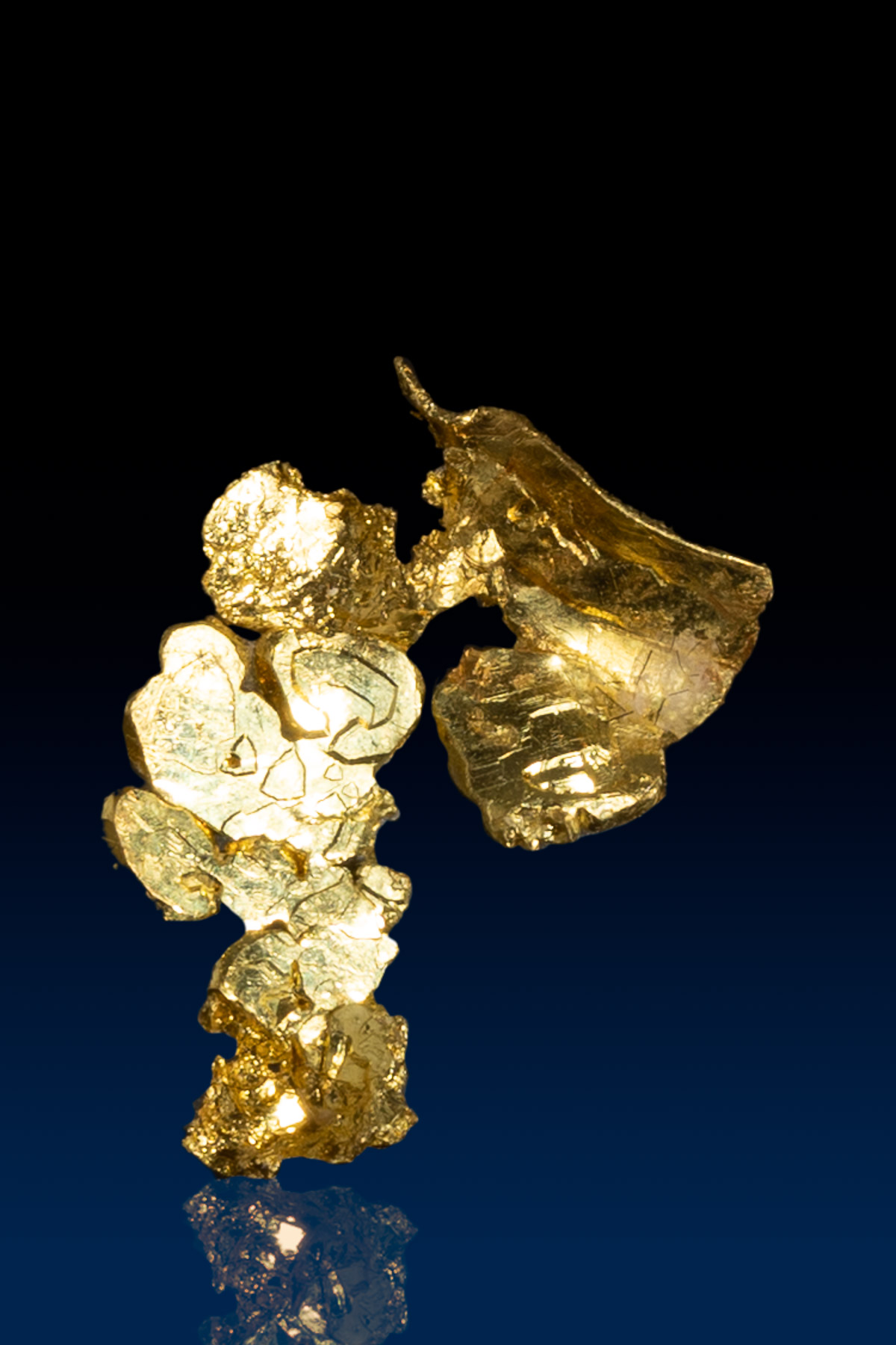 Brilliant Natural Gold Crystal -Famous Colorado Quartz Gold Mine