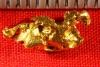 Australia Gold Nugget Shaped Like a Vulture/Buzzard