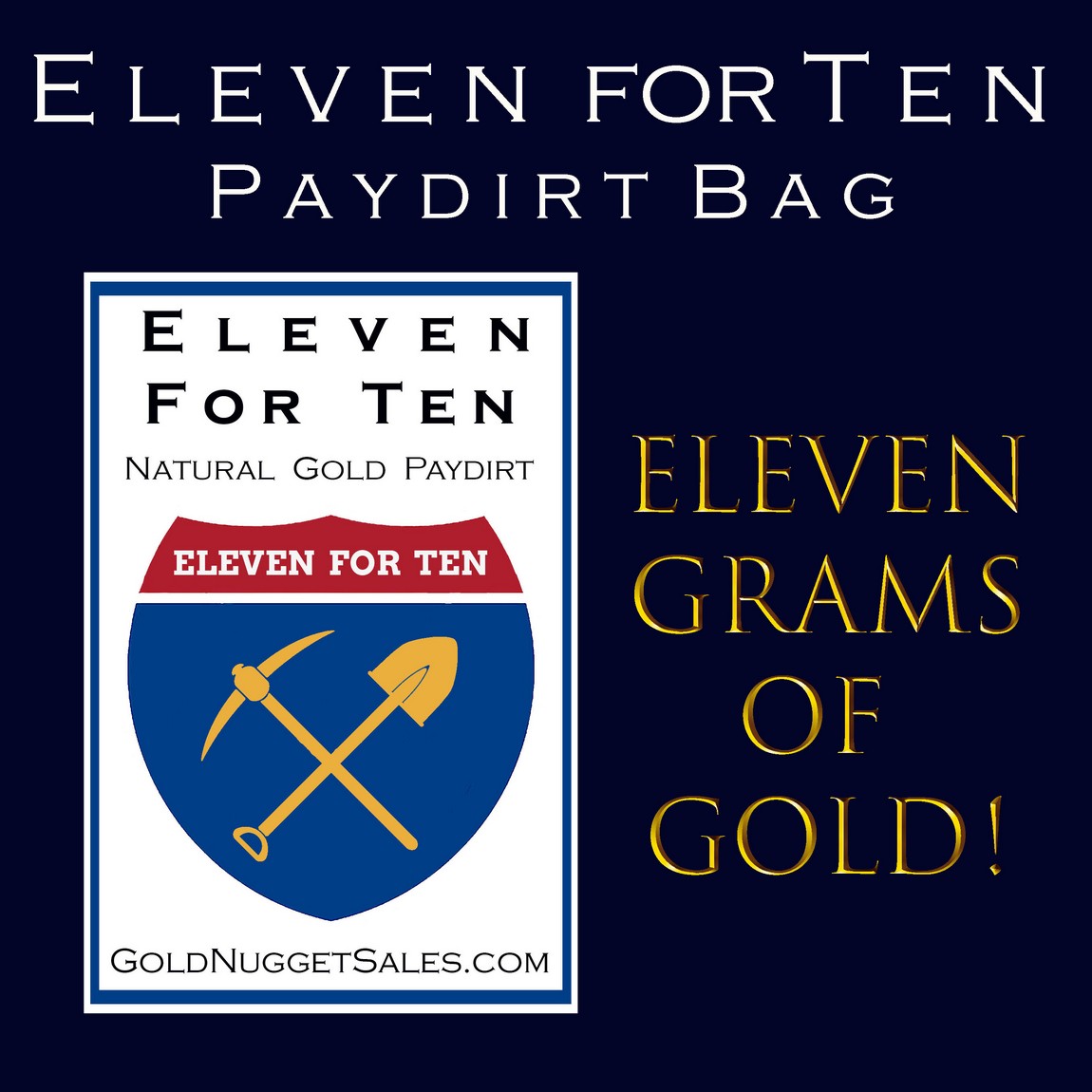 $10 Bag of Pay Dirt- with REAL GOLD